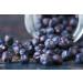 Tasty Pott Organic Juniper Berries (whole and dried) 250g Bag | Pleasure & Taste | Cooking & Cooking | Spice Flavour | Gourmet Gin | Marinade Meat Dishes | Advantageous Pack - Buy Online on GoSupps.com