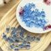 51 Pcs Baby Shower Games Set with Baby Pacifier Hunt Sign and Blue Boho Elephant Theme - Fun and Easy Activity - Buy Online on GoSupps.com