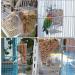 Automatic Bird Feeder No Mess Bird Feeder Acrylic Bird Cage Feeder Hanging Seed Food Container Perch Cage Accessories for Small Medium Budgerigar Canary Cockatiel Finch Parakeet Easy to Install Clean A-Transparent - Buy Online on GoSupps.com