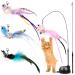 ROSAUI cat toy cat toy bird 4-pack cat fishing rod with suction cup interactive cat toy set C: SET C-7-pack