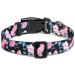 Suredoo Adjustable Nylon Dog Collar for Small & Medium Dogs | Soft & Comfortable | Pink Blue Flower | Fits Neck 25-40 cm - Buy Online on GoSupps.com