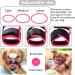 Adjustable Red Dog Muzzle with Velcro Fastener | Breathable Mesh for Safe Barking & Chewing | Buy Internationally - Buy Online on GoSupps.com