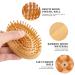 Shop Eco-Friendly Wooden Massage Curb & Bamboo Scalp Brush - Portable Antistatic Hair Tools - Buy Online on GoSupps.com