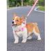 BIPY 4pcs 5cm Pinks Female Dogs Collars Flowers Charms Slides Flowers Bows For Cat Puppy Small Medium Dog Grooming Accessory - Buy Online on GoSupps.com