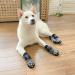 Expawlora Anti-Slip Paw Protection for Dogs | Soft & Breathable Adjustable Straps | Better Traction Control | Small (4 Count) - Dark Gray - Buy Online on GoSupps.com
