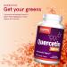 Jarrow Formulas Quercetin 500mg - Antioxidant & Immune Health Support - 30 Veggie Caps - Buy Online on GoSupps.com