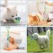 Dog Rope Toys Puppy Toys 6PCS Small Dog Cotton Rope Chewing Toys Puppy Dog Chew Toys Teething Training Dog Tug Rope Interactive Dog Rope Toys Indestructible Natural Cotton Rope for Small Medium Dogs - Buy Online on GoSupps.com
