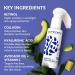 Purezero Moisturizing Night Cream Hydrating & Anti-Aging Face Moisturizer with Pure Ingredients Paraben-Free Vegan Cruelty-Free 4 oz - Buy Online on GoSupps.com
