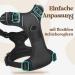 Rabbitgoo Dog Harness for Small Dogs - Adjustable No-Choke Reflective & Padded Chest Harness - Anti-Pull with Handle - Black (1 Pack) - Buy Online on GoSupps.com
