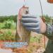 ARCLIBER Fishing Glove for Men - Puncture Resistant Magnet Release Glove for Handling, Catching, Cleaning - Anti-Slip Grip Palm - Left Hand Large - Buy Online on GoSupps.com