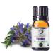 uh*Roh*Muh Organic Hyssop Essential Oil with Fresh Floral Scent 100% Pure & Natural Essential Oil for Aromatherapy Home Essential Diffuser Oil - USDA Certified Organic 5ml 0.17 Fl Oz (Pack of 1)