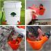 Red Automatic Plastic Chicken Drinker Cups 6pcs Poultry Drinke Used for Poultry Chicken Hen and Birds - Buy Online on GoSupps.com