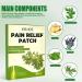 Wormwood Knee Pain Relief Patches - 30pcs Arthritis Pain Relief Kit for Knee, Neck, and Shoulder - Long Lasting Warming Plaster Pads for Muscle Soreness - Buy Online on GoSupps.com