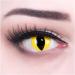 Buy Funnylens Yellow Crazy Cat Eye Contact Lenses | Top Quality for Halloween & Carnival | Free Lens Case | -1.50 Diopters - Buy Online on GoSupps.com