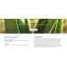Jason Natural Cosmetics 16 oz Liquid Moisturizing Aloe Vera Shampoo - 84% Aloe Vera - Buy Online on GoSupps.com