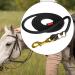 Magideal 4m Black Cotton Braided Horse Reins with Carabin Hooks - Ideal for Training Horses Pets and Sheep | International Shipping - Buy Online on GoSupps.com