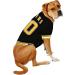 NHL Boston Bruins Medium Jersey for Dogs & Cats - Official NHL Dog Jersey for Boston Bruins Fans! - Buy Online on GoSupps.com