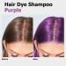 Professional 3-in-1 Hair Dye Shampoo for Gray Hair - Safe & Effective Purple Hair Color Shampoo - 16.9 Fl Oz | International Shipping Available - Buy Online on GoSupps.com