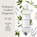 The Laundress Dish Soap Liquid No.247 - Tough on Grease Bio-based Ingredients | 16 Fl OZ - International Shipping Available - Buy Online on GoSupps.com