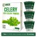 GOCE Celery Powder - 18 Packs | Instant Organic Superfood with Rich Minerals and Vitamins - Buy Online on GoSupps.com