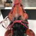 Halter for Horse | Heavy Duty Chin and Throat Snap Halter Horse Comfortable Padded Nylon Horse Halter for Training Equestrian Grooming Lambo Red - Buy Online on GoSupps.com