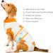 Kuoser Orange XS Dog Recovery Suit | Breathable Body After Surgery Castration & Wound Protection for Male & Female Dogs - Buy Online on GoSupps.com