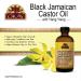 OKAY Pure Naturals Xtra Dark Black Jamaican Castor Oil with Ylang Ylang Oil 4 Ounce 0.11 kg OKAY-BJXYLG4 - Buy Online on GoSupps.com