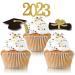 48pcs 2023 Graduation Cupcake Toppers Baking Decoration Exquisite Grad Cap Set Food Appetizer Picks For Graduation Party Graduation Toppers - Buy Online on GoSupps.com