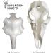 Mountain Mike's Skull Master European Mount Kit - White (Medium) - For Antlers <4 - Compatible with Harvested & Shed Antlers - Buy Online on GoSupps.com