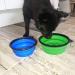 Buy Takuza Foldable Dog Bowls - 2 Piece Silicone Travel Set with Carabiner | 1000ml Feeding & 350ml Water Bowl - Perfect for Dogs On-the-Go - Buy Online on GoSupps.com