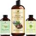 Handcraft Blends Castor Oil for Hair with Tea Tree Essential Oil & Lemongrass Essential Oil Set 100% Pure & Natural Oils Carrier Oil for Essential Oils Mixing Aromatherapy Oils & Massage
