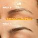 Handmade Heroes 100% Natural Vegan Lash & Brow Serum Rosemary & Pumpkin Seed Oil for Fuller Thicker Looking Eyelashes Eyebrows Gentle & Nourishing Formula Prostaglandin Free - Buy Online on GoSupps.com