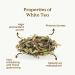 White Tea Organic White Peony 100g (50 Cups) | Bai Mu Dan Chinese White Tea | Pai Mu Tan Loose Leaf Tea REPLANTEA - Buy Online on GoSupps.com