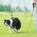 Buy Aystkniet 30m Bungee Tow Leash for Medium & Large Dogs - Shock-Absorbing Padded Handle Reflective Lockable Hooks - Perfect for International Shipping - Buy Online on GoSupps.com
