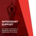 Protocol A-Biotic Immune Support Softgels - Garlic Elderberry Rosemary Olive Leaf - 60 Count - Buy Online on GoSupps.com