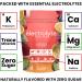 KEPPI Keto Electrolytes Powder - Sugar-Free Advanced Hydration Raspberry Lemonade Supplement - Energy Boost Variety Pack - 30 Packets - Buy Online on GoSupps.com