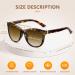 Buy EASY READ Bifocal Reading Sunglasses for Women | Fashionable UV400 Sun Readers | Magnification 2.50 - Demi Turquoise - Buy Online on GoSupps.com