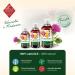 ChronoBalance 500 ML Milk Thistle Oil for Dogs as a Natural Food Supplement That Promotes Tissue and Coat Change Vitamin E Omega-6 and Omega-9 - Buy Online on GoSupps.com