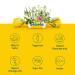Ricola USA Herbal Throat Drops Lemon-Mint Sugar-Free (Pack of 12) - Buy Online on GoSupps.com