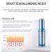 Waterfall Moist Balanced Hyaluronic Acid 100 Ampoule 20ml - Korean Skincare Rich Moisture Paraben Free Facial Hydration - Buy Online on GoSupps.com