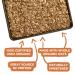 Grandy Oats Organic Granola 10lb - Low Sugar, High Protein, Non-GMO & Dairy Free - Buy Online on GoSupps.com