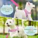 Eyein No-Pull Dog Harness with Leash - Soft Padded Reflective Adjustable for Puppies Small & Large Dogs Cats (Rose Red XXS) - Perfect Pet Gear - Buy Online on GoSupps.com