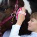 Animalon Horse Cleaning Tools for Kids | Ergonomic Pink Kard tsche | Flexible Children's Horse Brush & Gifts - Buy Online on GoSupps.com