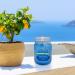 Rosemary & Sage Scented Candle - 12oz Natural Soy Wax Aromatherapy in Glass Mason Jar - Smokeless Non-Toxic Indoor/Outdoor Candle - Buy Online on GoSupps.com
