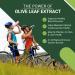 East Park Olive Leaf Extract Super Strength d-Lenolate 500mg | Immune System Booster with 18% Oleuropein | 60 Vegetarian Capsules - Buy Online on GoSupps.com