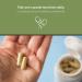 Tattva's Herbs Boswellia Serrata Supplement | Joint Support Capsules | CO2 Extract for Optimal Health - Buy Online on GoSupps.com