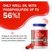 NYO3 Krill Oil 1500mg Omega 3 with EPA & DHA Senior's Top Choice High Content & High Absorption Pure Antarctic Krill Oil with Astaxanthin and 56% Phospholipids Laboratory Tested 90 Softgels - Buy Online on GoSupps.com