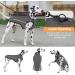 Slowton Dogs Winter Jacket | Adjustable Waterproof Dog Coat with Reflective Stripes | Warm Snowsuit for Pets (L Gray) - Buy Online on GoSupps.com