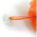 1541 London Exfoliating Bath & Shower Body Puff/Scrunchie/Buffer TWIN PACK (Tangerine Orange) - Buy Online on GoSupps.com