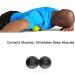 Massage Lacrosse Peanut Balls for Myofascial Release and Pain Relief - Perfect for Deep Tissue Massage, Trigger Point Therapy, and Yoga - Buy Online on GoSupps.com